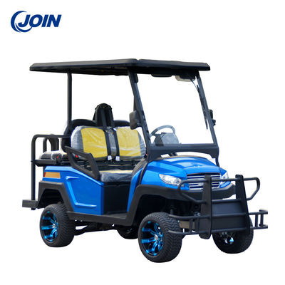Leer het Met fouten van de het Golfkar van douanegolf 4 Seater met Seat-Kussens