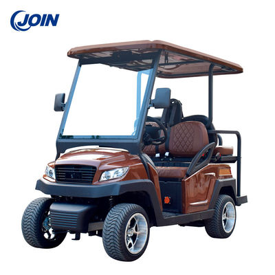 Permanent van de Karseat 2N1 van het Douanegolf Elektrisch Golf 2 Met fouten Seater