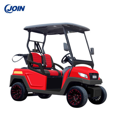 Leer het Met fouten van de het Golfkar van douanegolf 4 Seater met Seat-Kussens