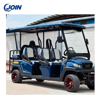 Van de het Golfkar van de Buggies Elektrische Douane Tweekleurige Zwart van Seat en Blauw